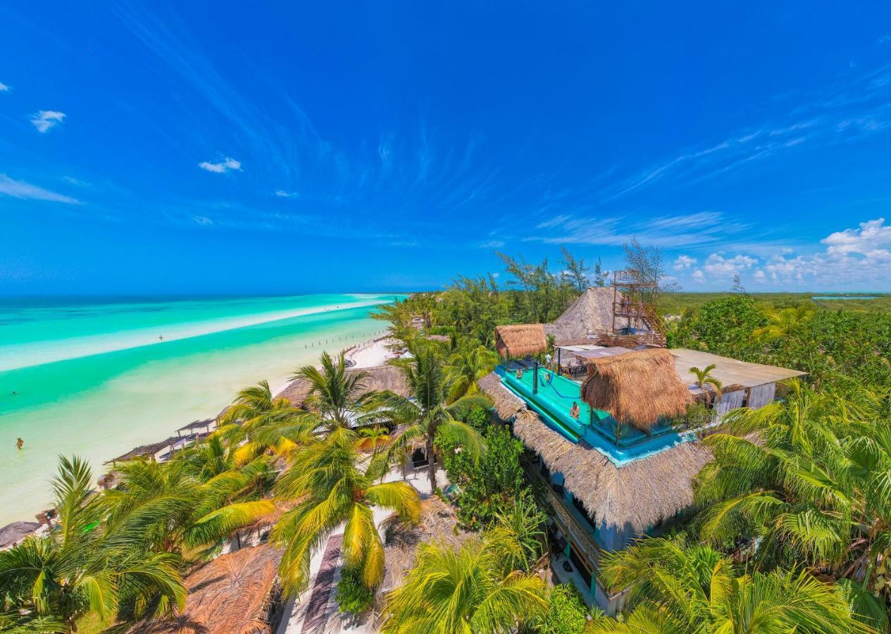 Tiburon Adults Only 4*