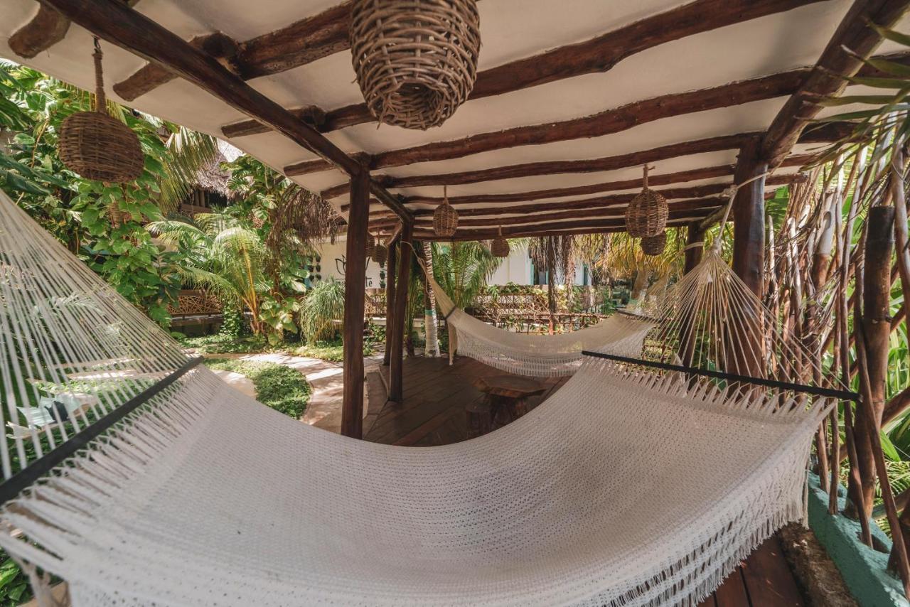 Tiburon Adults Only Hotel Ilha Holbox