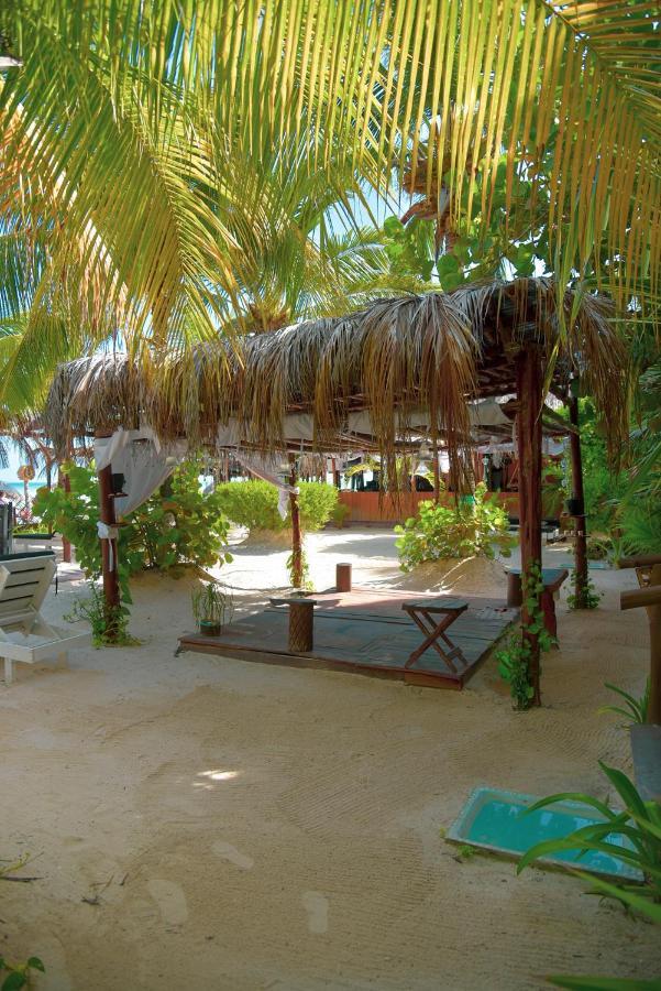 Tiburon Adults Only 4*